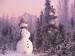 411_800x600.jpg